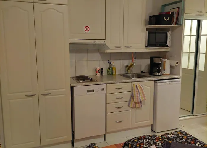 Levistar With Sauna Levi