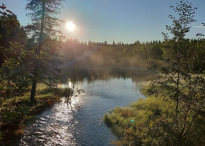 Levistar With Sauna Levi