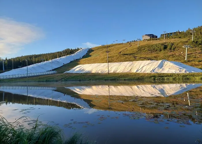 Levistar With Sauna *